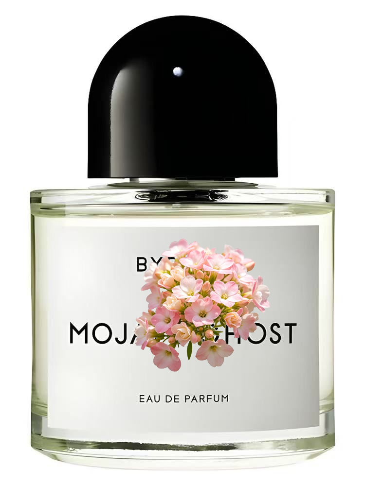 유니섹스 오 드 퍼퓸 100ml 3.4 fl.oz 럭셔 - Amber Musk Oil 리뷰 및 가격